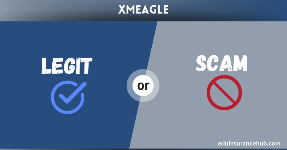 Xmegle presents itself as a worldwide video chat system designed to offer secure one-on-one